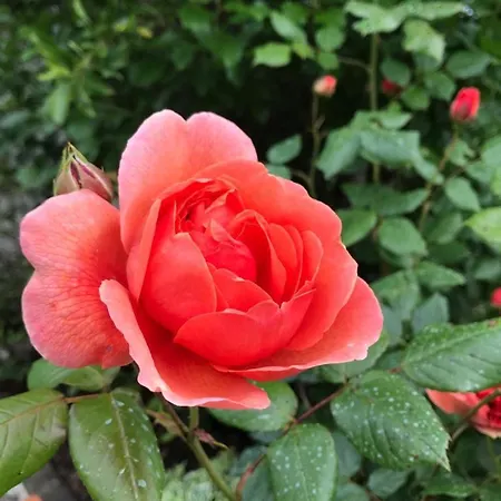 Bed & Breakfast Louradou-sur-ciel 3*