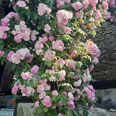 Louradou-sur-ciel 3*