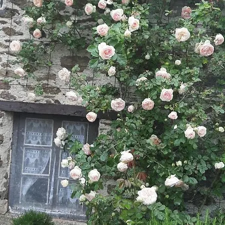 Louradou-sur-ciel 3* Jouqueviel