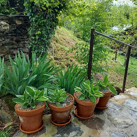 Bed & Breakfast Louradou-sur-ciel Jouqueviel