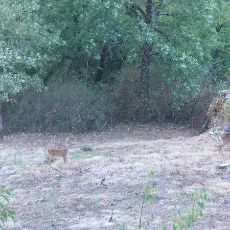 Louradou-sur-ciel Jouqueviel