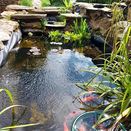 Frühstückspension Louradou-sur-ciel Jouqueviel