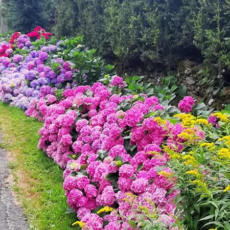 Louradou-sur-ciel Bed & Breakfast *