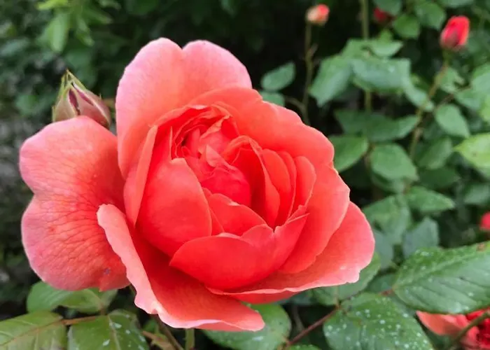 ベッド・アンド・ブレックファスト Louradou-sur-ciel 3*