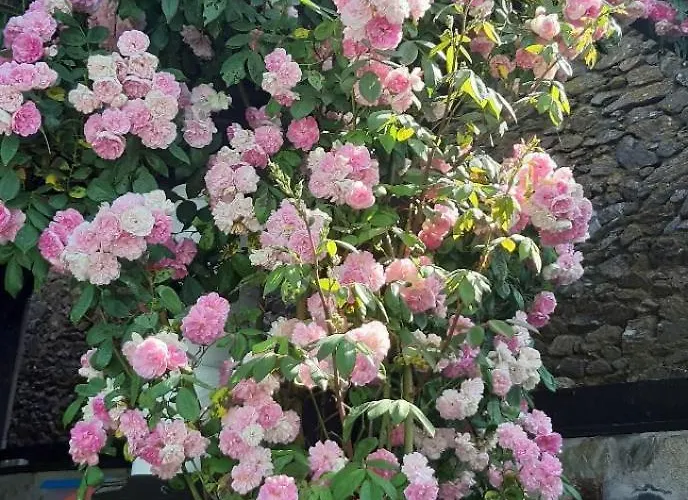 Louradou-sur-ciel 3*