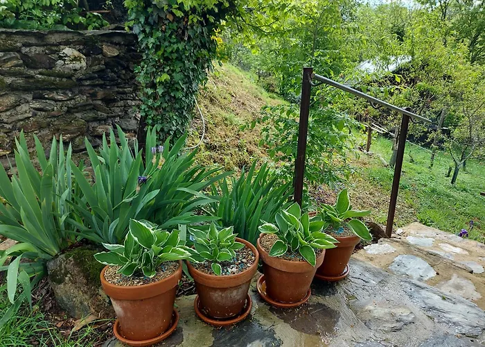 ベッド・アンド・ブレックファスト Louradou-sur-ciel Jouqueviel