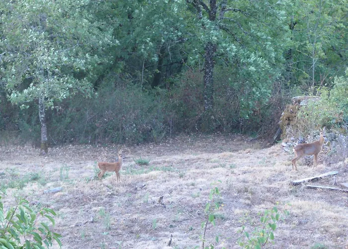 Louradou-sur-ciel Jouqueviel