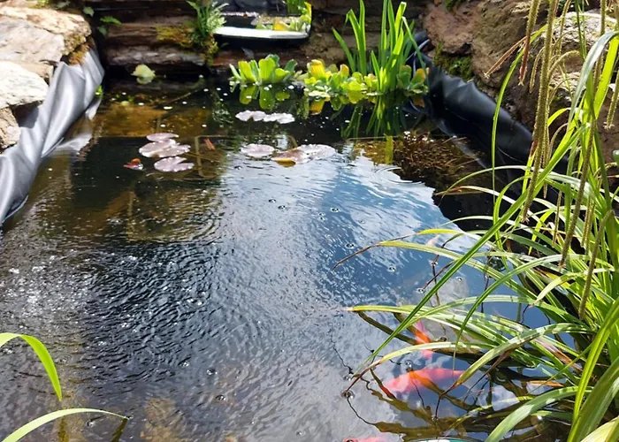 ベッド・アンド・ブレックファスト Louradou-sur-ciel Jouqueviel