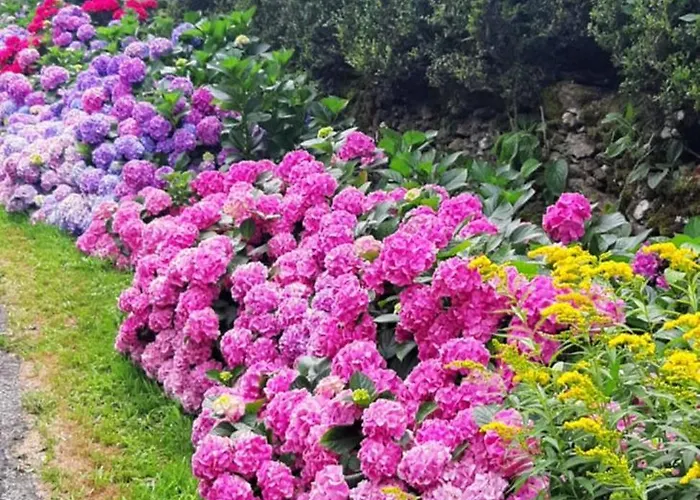 Louradou-sur-ciel ベッド・アンド・ブレックファスト 3*